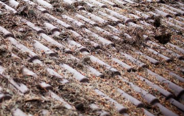 Bulthy roof cleaning companies